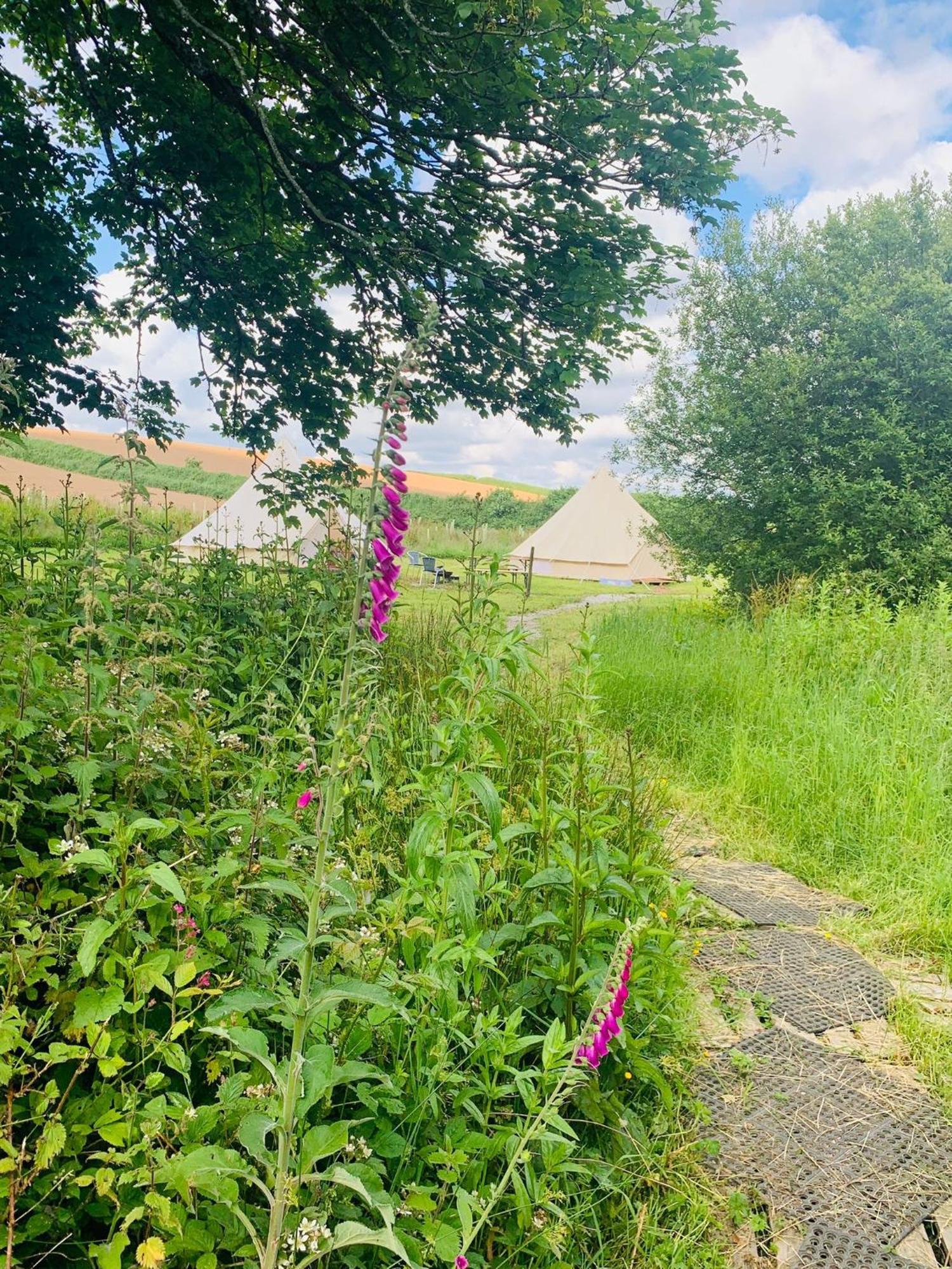 Penhallow House Bed & Breakfast